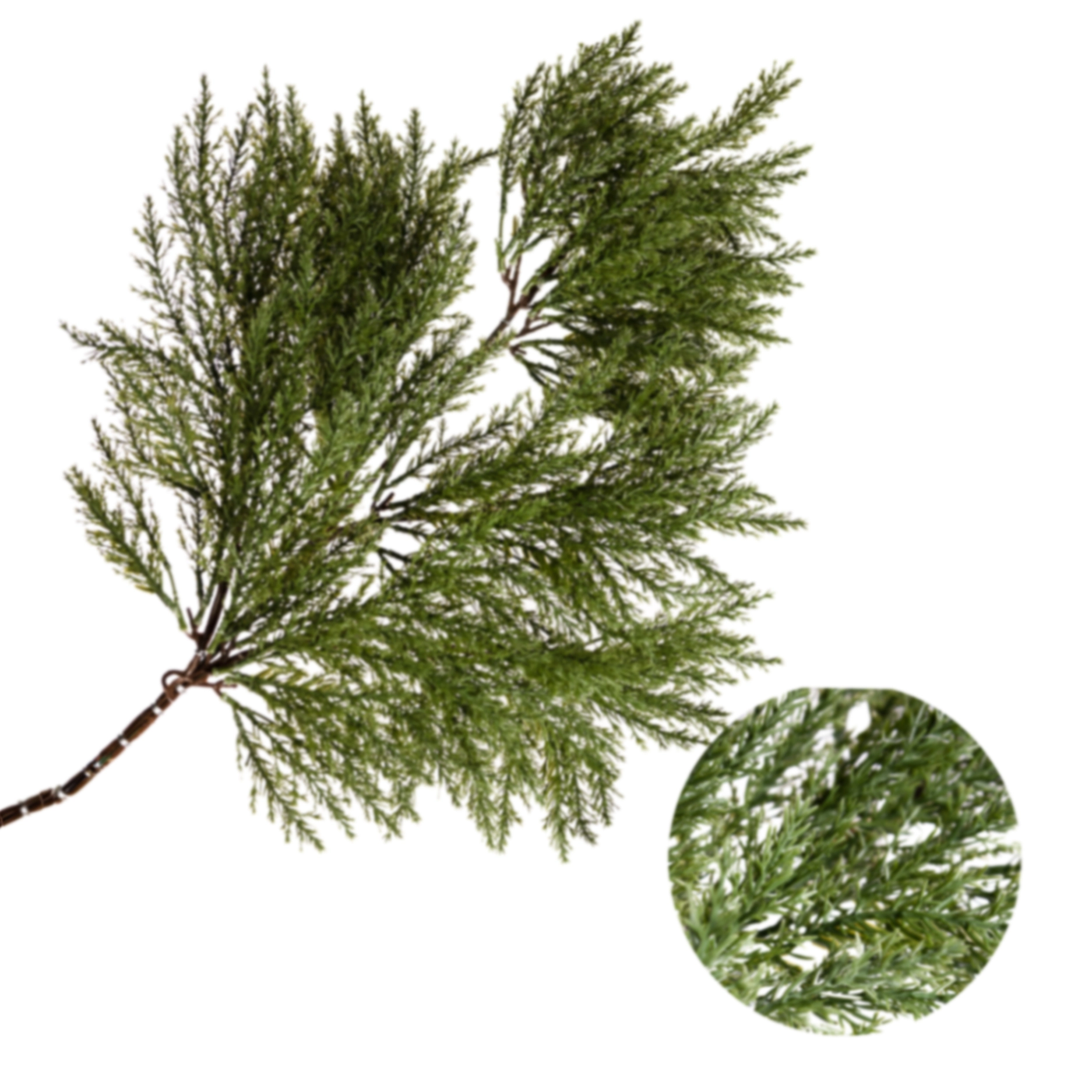 Christmas branch