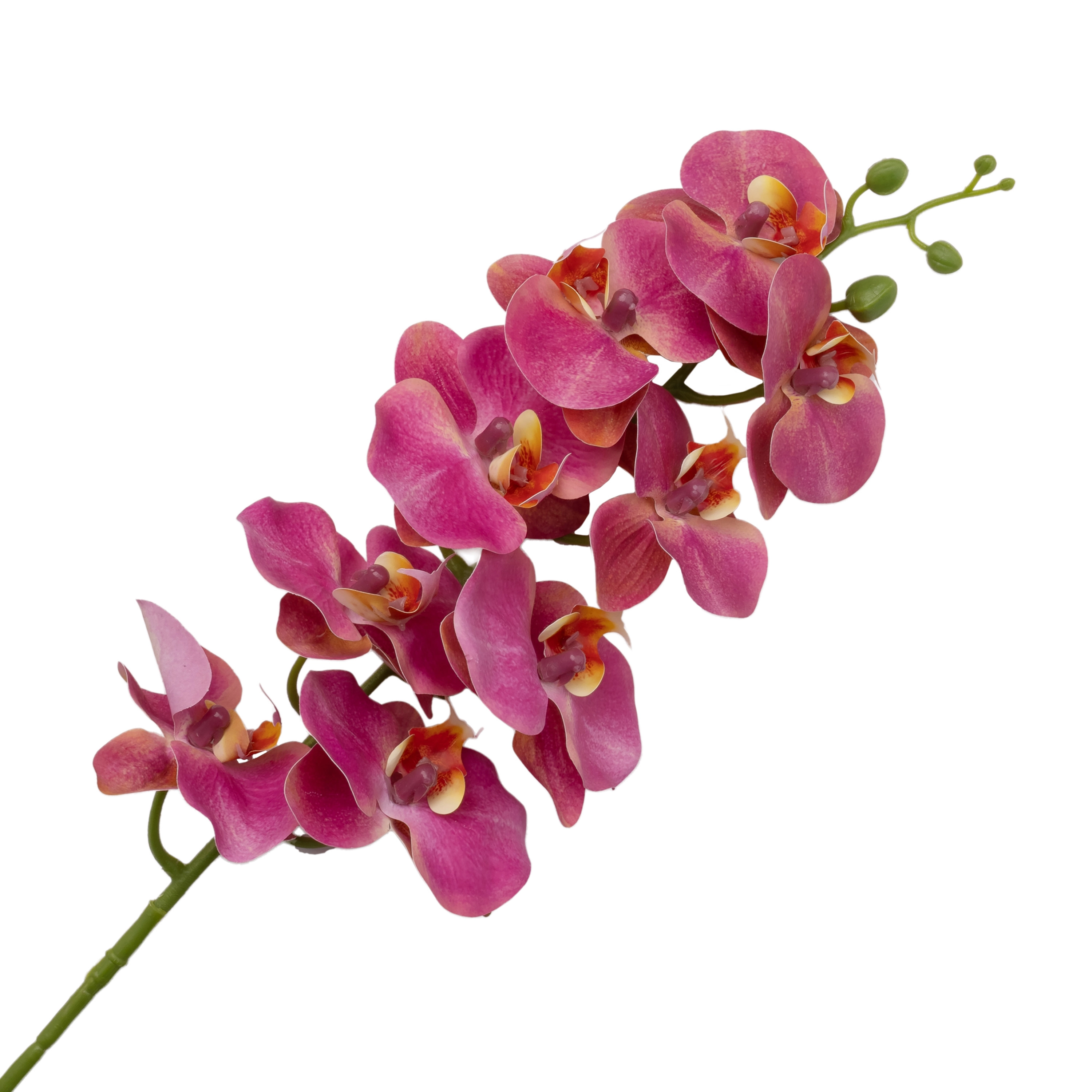 Artificial phalaenopsis silicone
