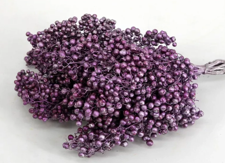 Capsicum schinus mollis metalic purple
