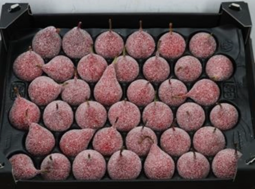 Waxpeer gl rood kerst