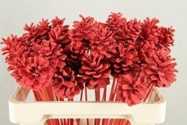 Stick pinecone tinted red