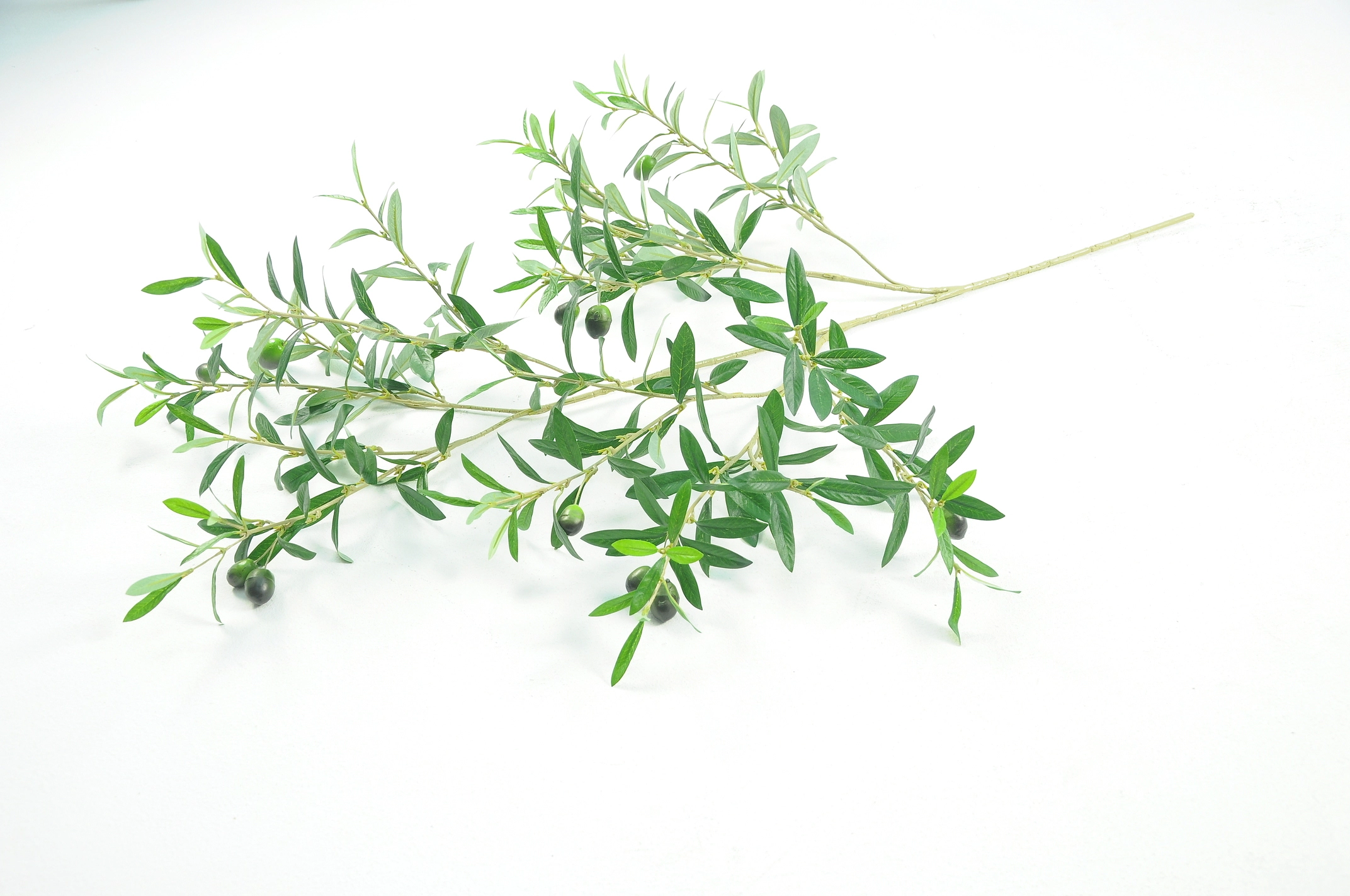 OLIVE SPRAY UV | Wholesale flowers, plants and supplies OLIVE SPRAY UV