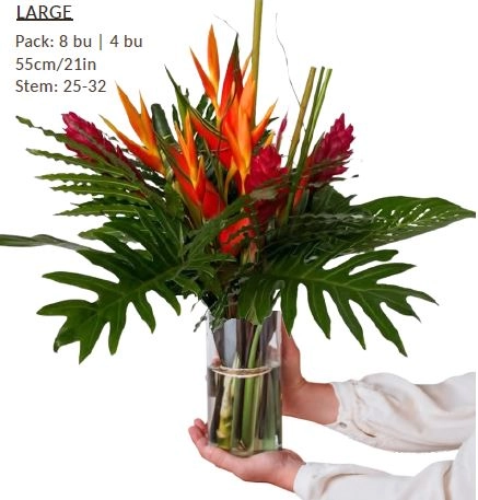 Bouquet amazon large | Wholesale flowers, plants and supplies Bouquet amazon large