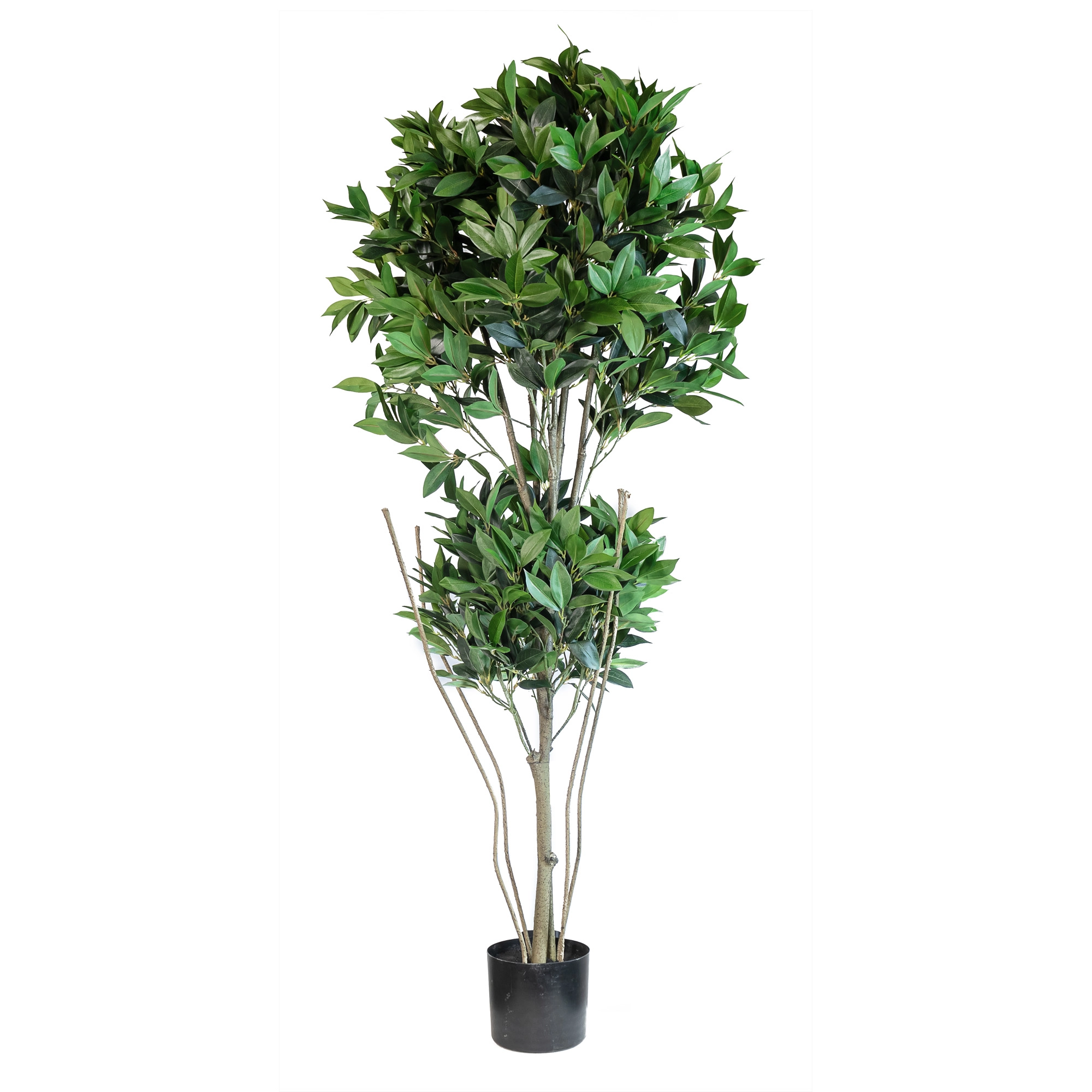 Artificial shikibia topiary tree x2 1500LVS | Wholesale flowers, plants and supplies Artificial shikibia topiary tree x2 1500LVS