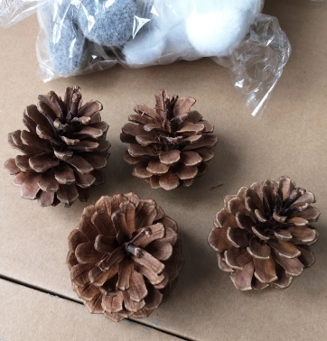 Pine cones, 30 pcs