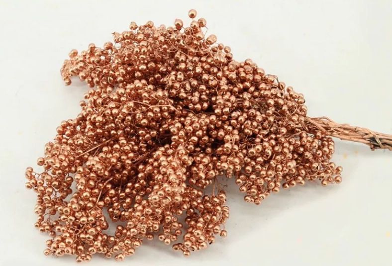 Capsicum schinus mollis copper