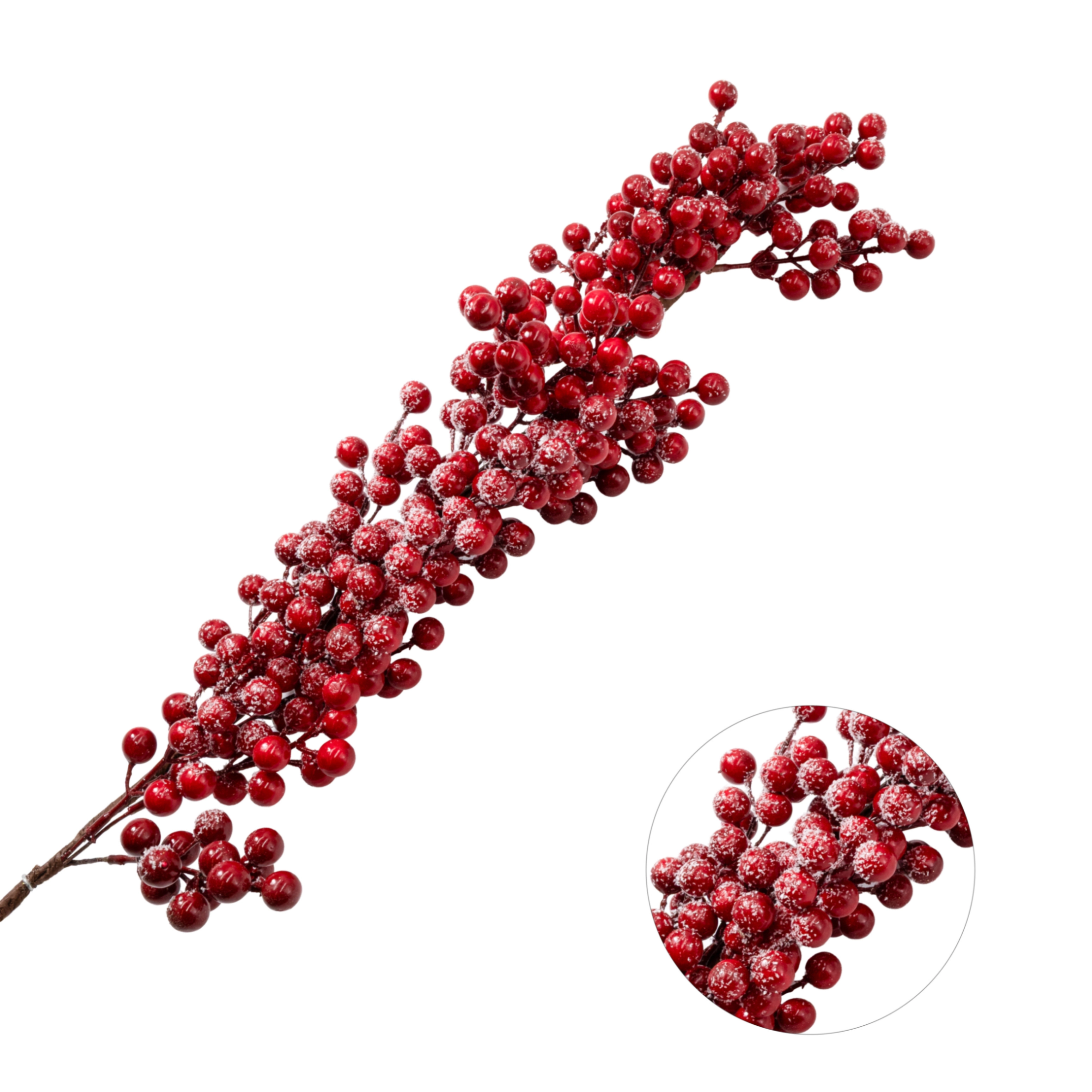 Christmas berry branch with snow