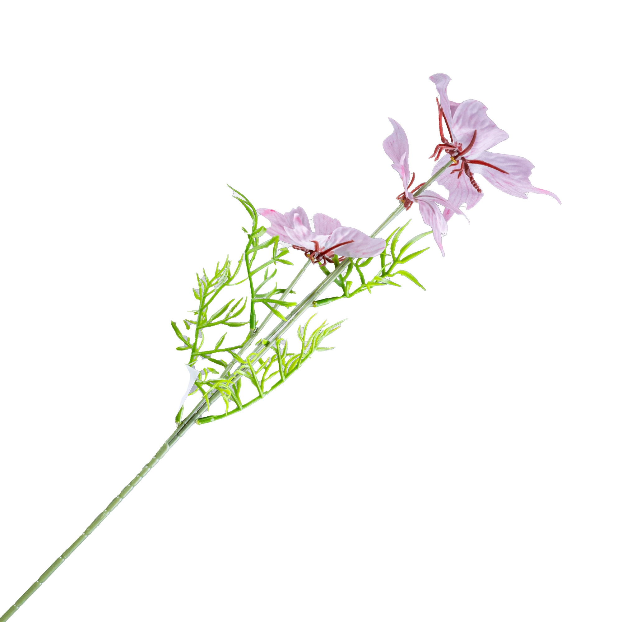 Butterfly flower