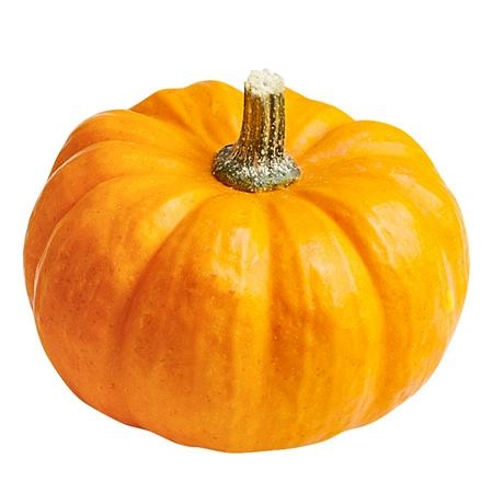 Cucurbita jack be little