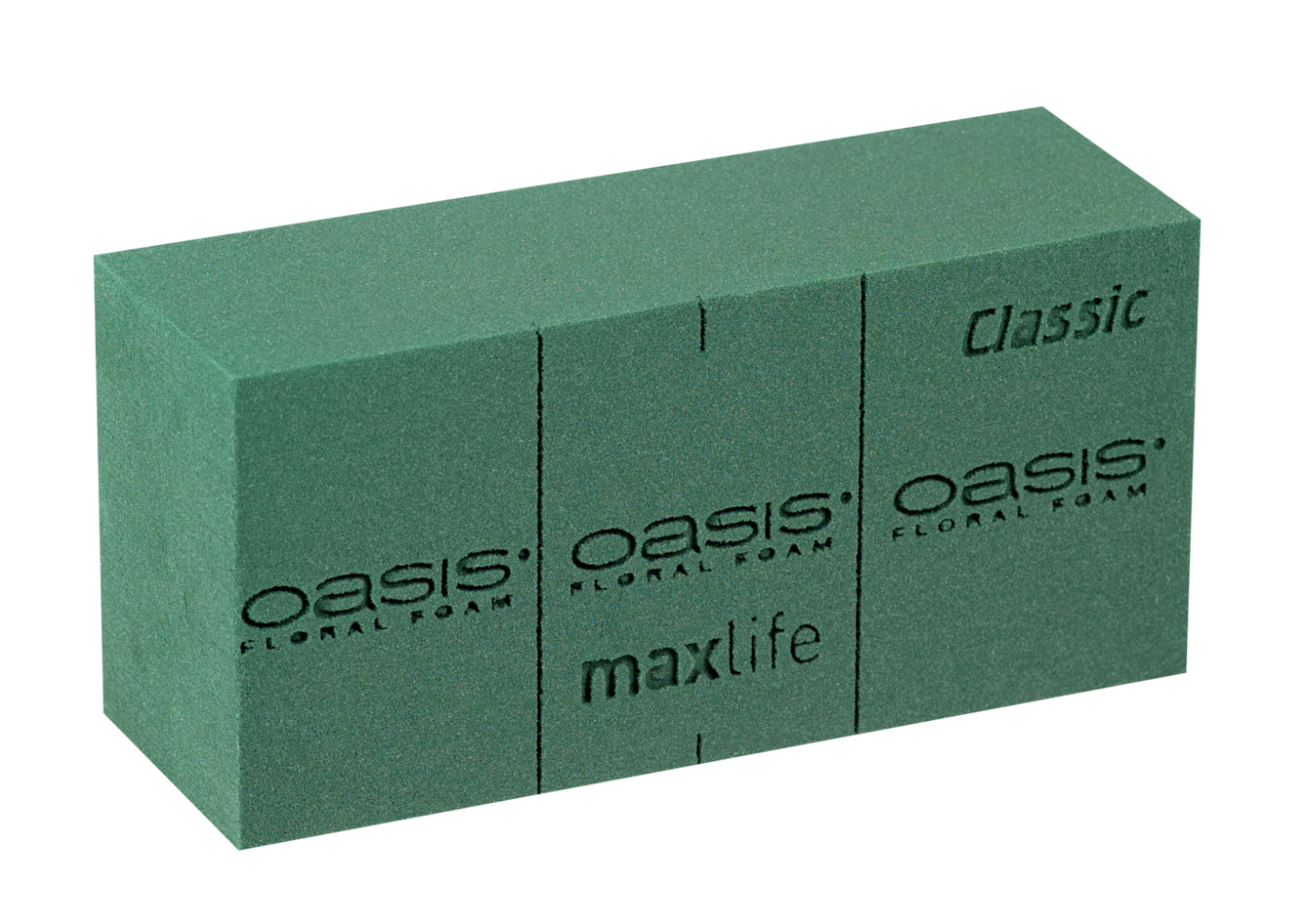 Oasis Flower Foam Classic Maxlife, 20pcs | Wholesale flowers, plants and supplies Oasis Flower Foam Classic Maxlife, 20pcs