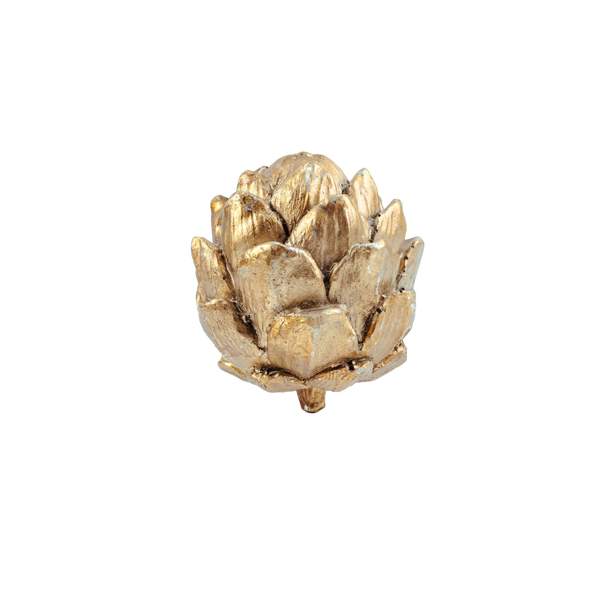 Artishoke | Wholesale flowers, plants and supplies Artishoke