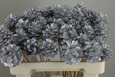 Stick pine cone tinted silver