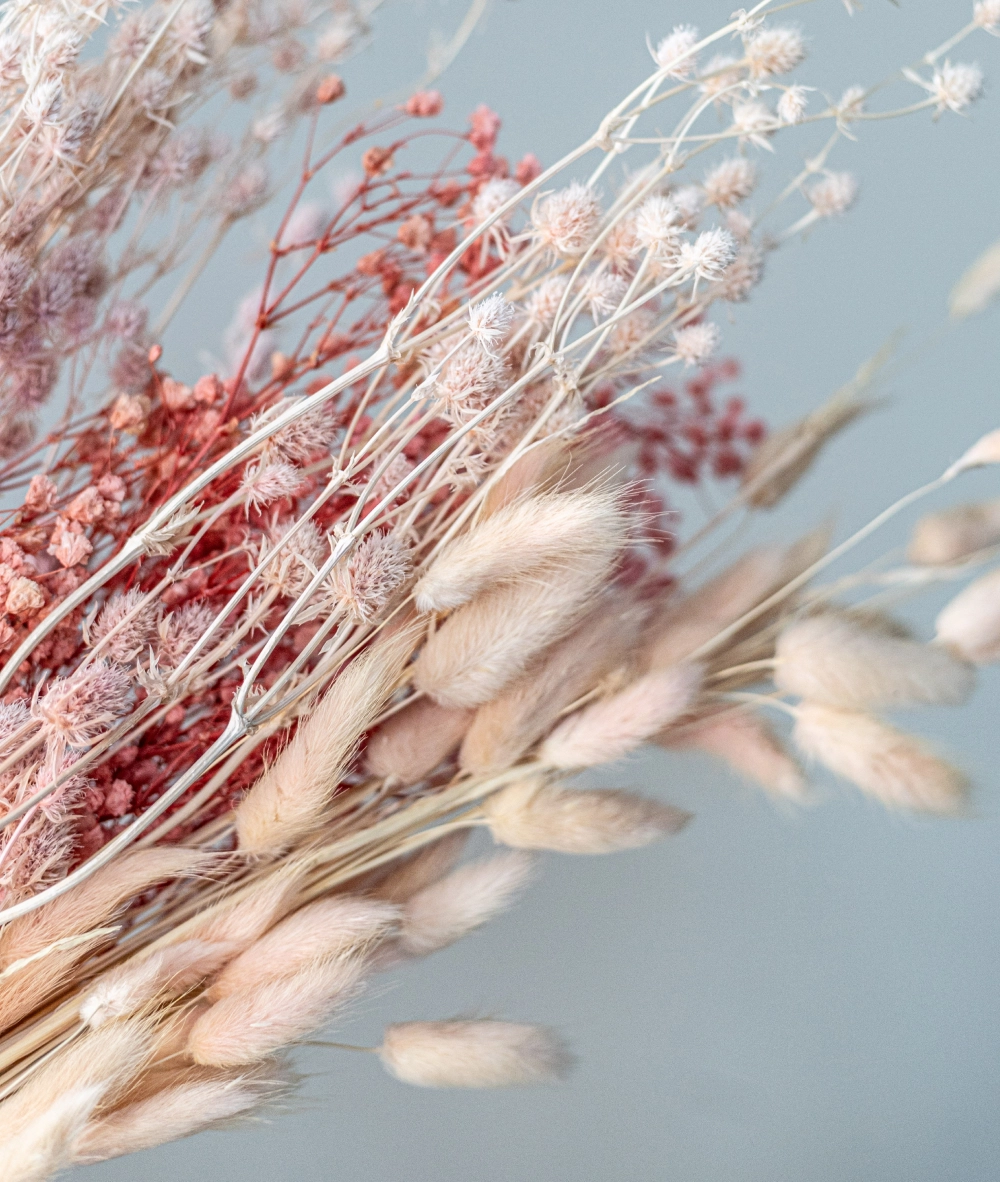 Decorative materials | Wholesale flowers, plants and supplies Decorative materials
