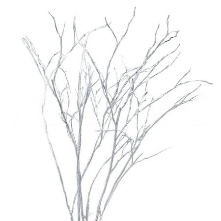 Blad Vaccinium silver