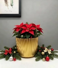 Ceramic pot ribbed