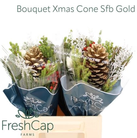 Bouquet xmas cone sfb gold
